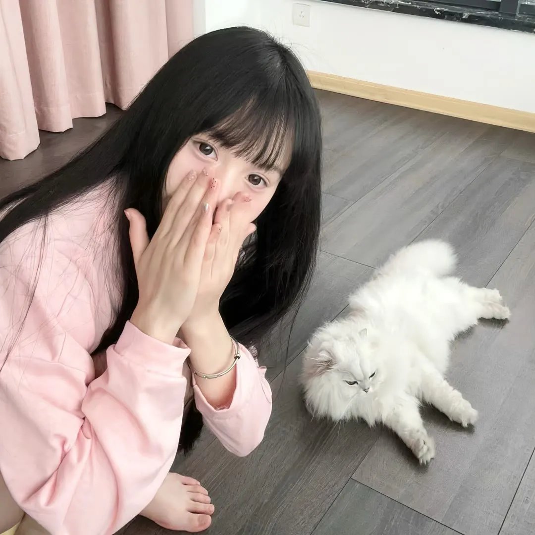雪与灰
