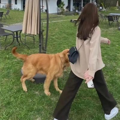 我是你的人